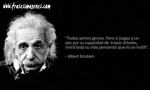 steve jobs