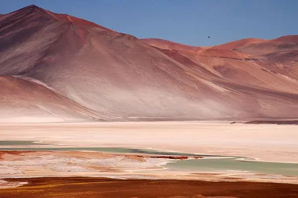 Planeta
