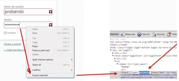 Descubrir las contraseñas web ocultas por asteriscos
