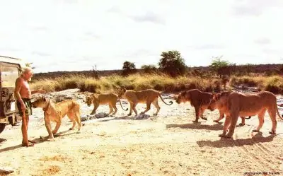 africa