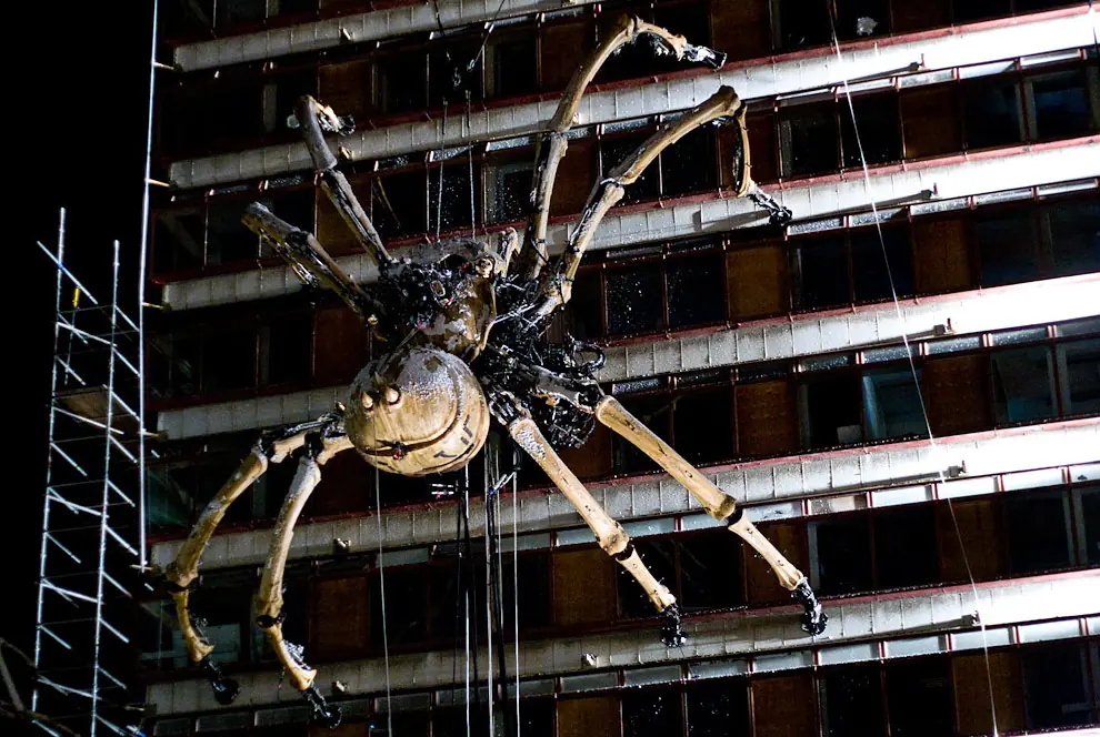 Meganeura εϊз el insecto más grande que haya existido
