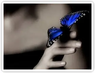 ¿Efecto Mariposa?