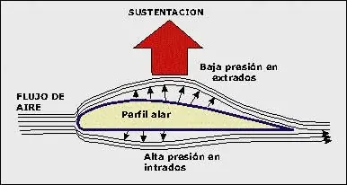 perfil alar