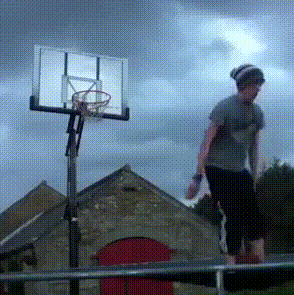 La vida en gifs