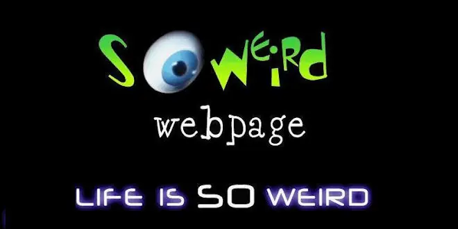 10 partidos políticos más raros de la historia