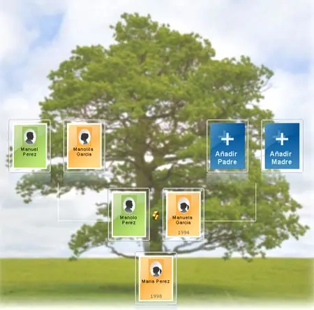 ¿Cómo armar árboles genealógicos?