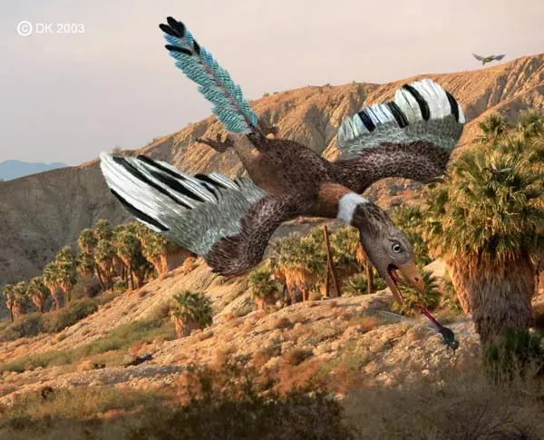El Archaeopteryx