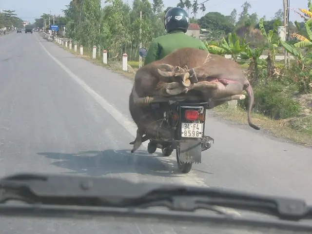 diversion