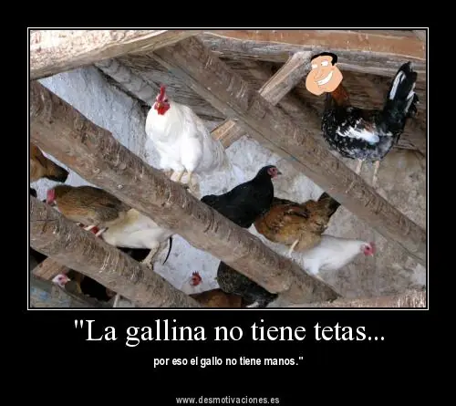 Megapost de carteles graciosos, divertidos y chorradas 7.