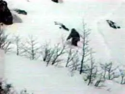 Afirman que lograron captar al Yeti en un video en Siberia