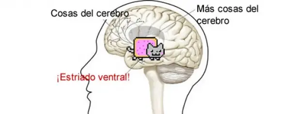El cerebro gamer: La neurociencia detrás de la diversión