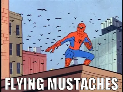 spider