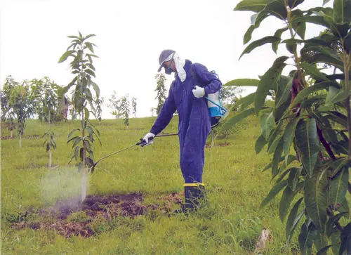 Contaminación de Alimentos por Agroquímicos