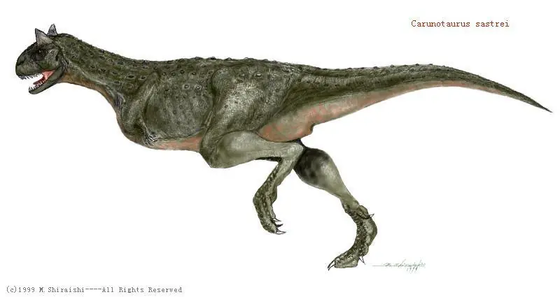 Grandes dinosaurios que habitaron Argentina
