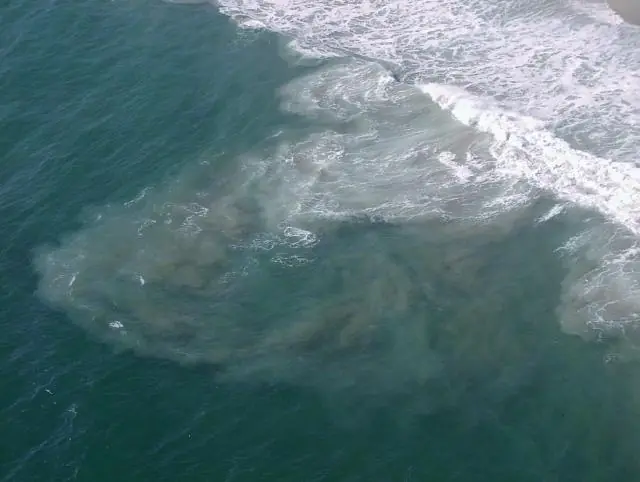 Supervivencia en el agua