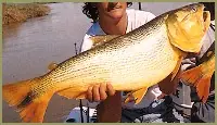 Pesca: Peces de Argentina (caracteristicas)