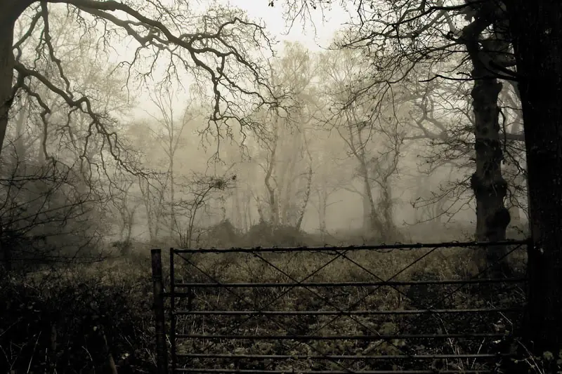 Historia Real De Terror - El Bosque De Miedo