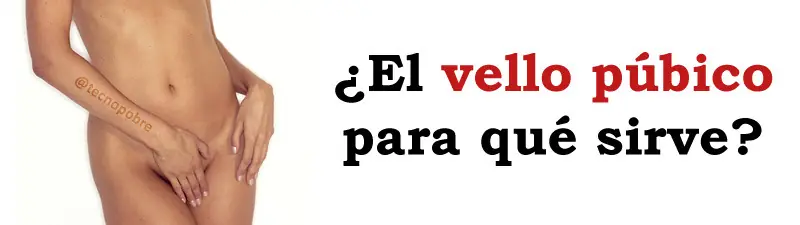 ¿El vello púbico para qué sirve?
