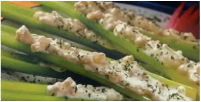 comida vegetariana