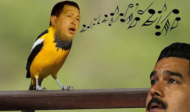 El pajarito de chavez volvió a visitar a Nicolas Maduro