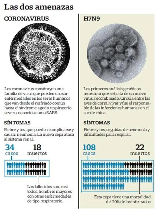 Dos nuevos virus amenazan a la humanidad