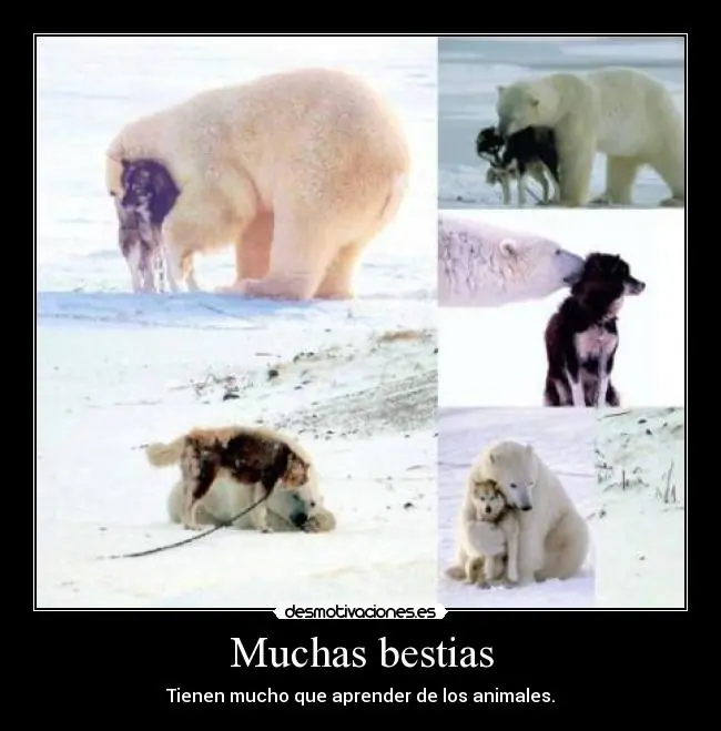 fails