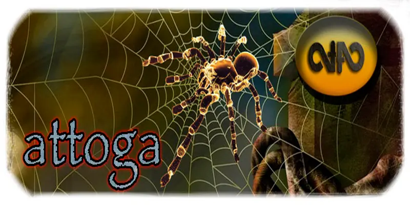 La sorprendente Araña