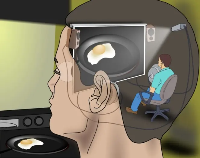 El yo es una ilusión que vive en una realidad virtual