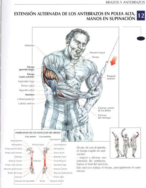 Todo para la rutina del gimnasio