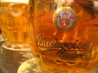 Cerveza Budweiser,200 años de competencia
