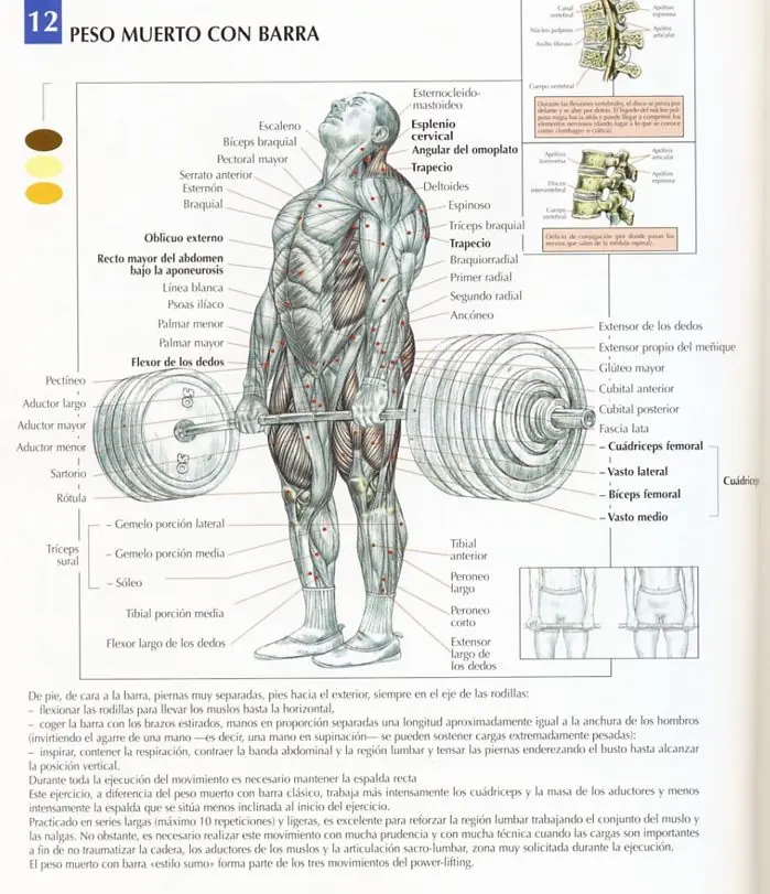 gimnasio