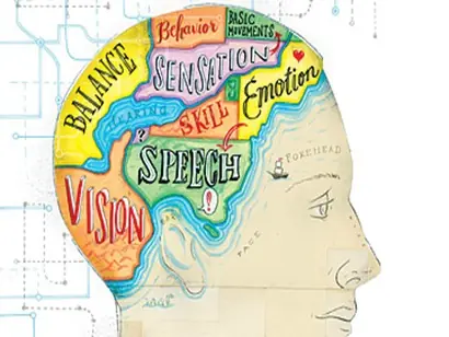 teoria de las 7 inteligencias por howard gardner