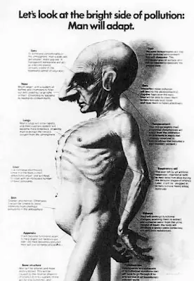 Así es como posiblemente seremos en el año 2768