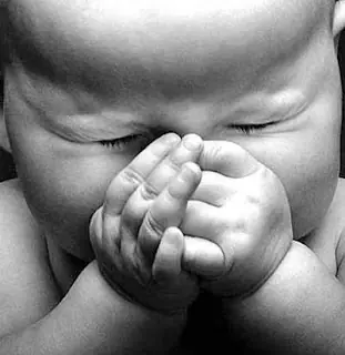 El ¿Porque? del cuerpo humano