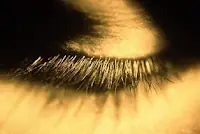 El ¿Porque? del cuerpo humano