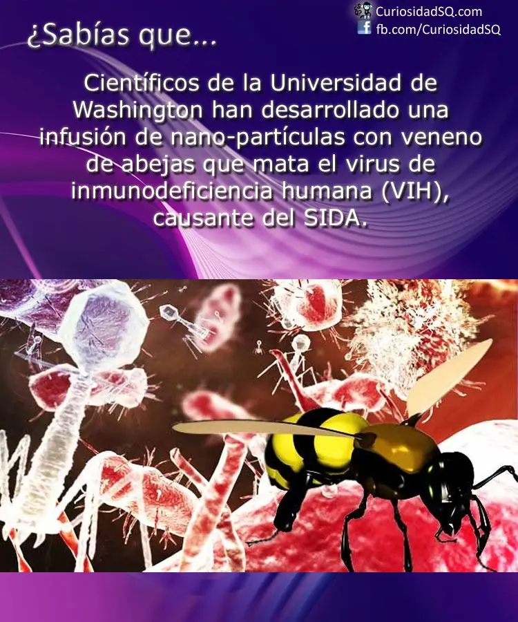 Sabias que? inteligencia colectiva