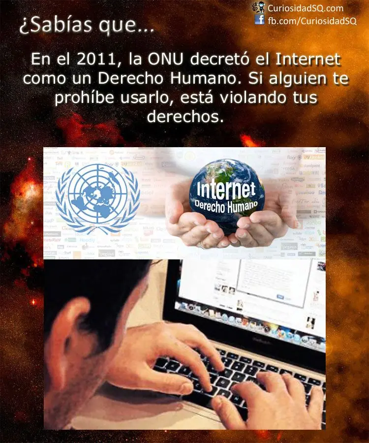Sabias que? inteligencia colectiva