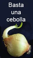 Basta una cebolla...
