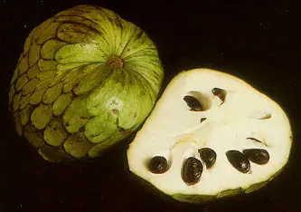 Que hacer con chirimoyas?? (Recetas)