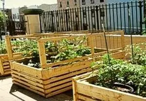 Granjas en tu casa o depto, sanas y sin Monsanto