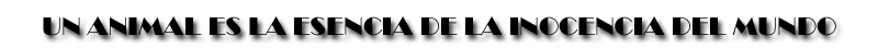 Un animal es la esencia de la inocencia del mundo.