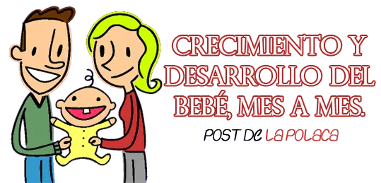 Desarrollo del niño de los 0 a 12 meses