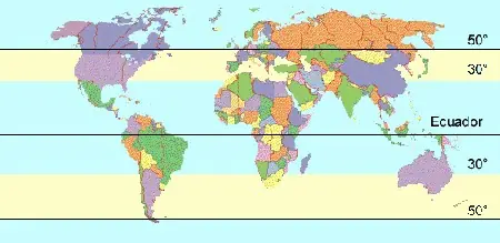 Vinos! Clasificacion, tipos de uva, regiones, elaboracion!