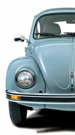 Curiosidades del Esarabajo