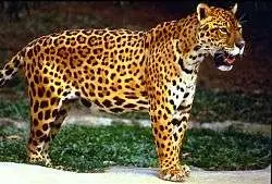 seres mitologicos de la argentina parte 1