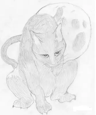 Como dibujar gatos. Simple y complejo