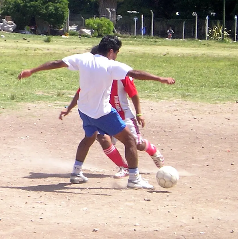 pelota