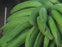 Comida Panameña- Patacones