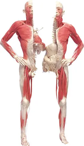 12 Trucos que podés hacer con tu cuerpo