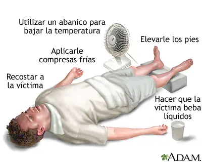 evitar ola de calor